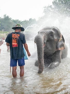 Elephant Jungle Sanctuary