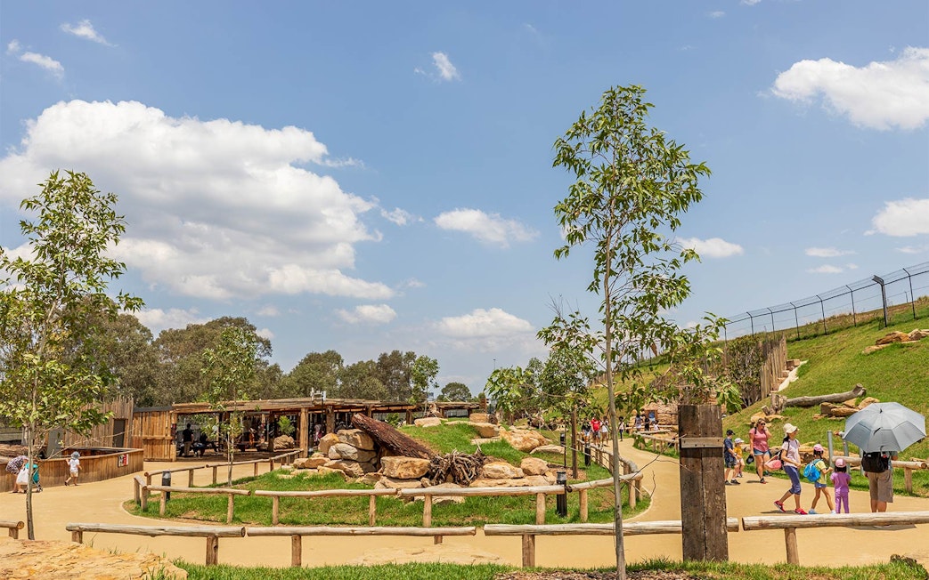 Visitors walking through Sydney Zoo's outdoor exhibit area.