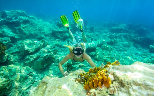 Snorkeler exploring coral reef near Golden Horn, Bol Town, Brac Island.