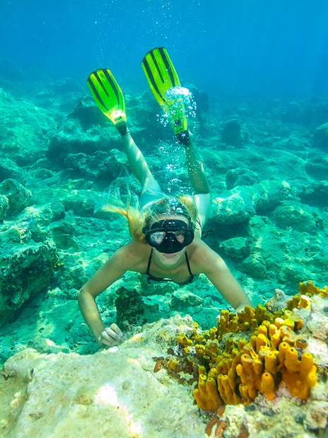 Snorkeler exploring coral reef near Golden Horn, Bol Town, Brac Island.