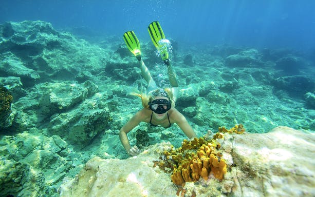 Snorkeler exploring coral reef near Golden Horn, Bol Town, Brac Island.