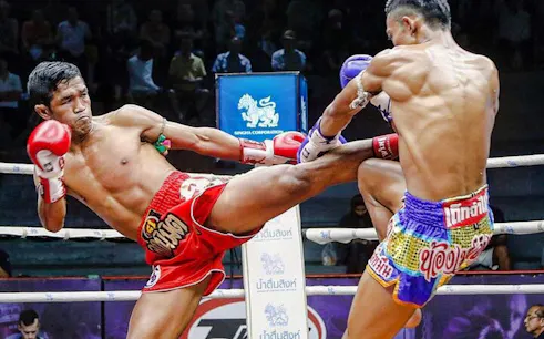 ingressos para lutas de muay thai no patong boxing stadium com traslados de ida e volta do hotel-1