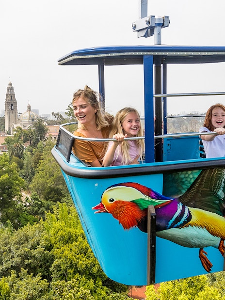 People enjoying the sky tram ride at San Diego Zoo with scenic views.