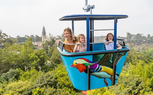 People enjoying the sky tram ride at San Diego Zoo with scenic views.