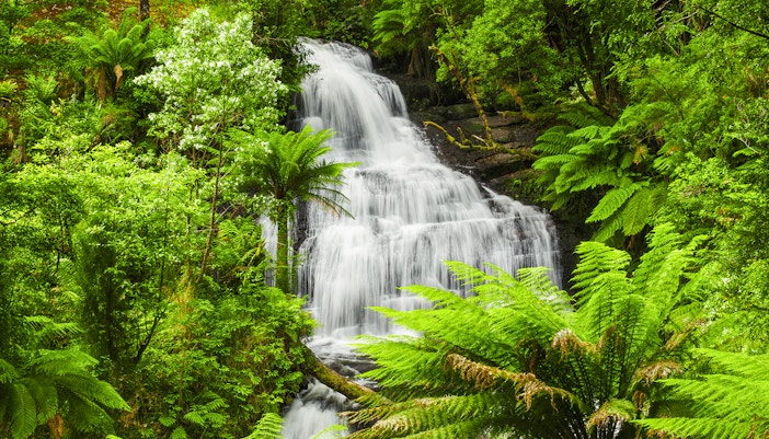 Triplet Falls cascading through lush forest in Great Otway National Park, Australia.