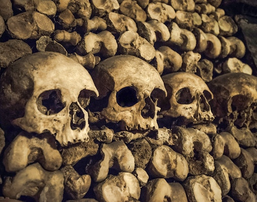 Skulls and bones in the Paris Catacombs.