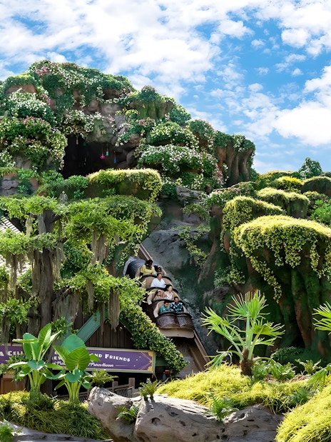 Tiana's Bayou Adventure ride with lush greenery at Walt Disney World Resort, Orlando.