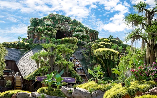 Tiana's Bayou Adventure ride with lush greenery at Walt Disney World Resort, Orlando.