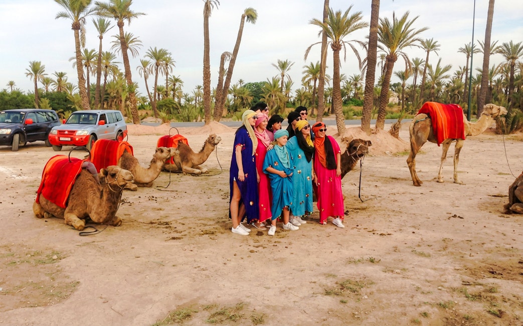 Group posing with camels in the Palmeraie during a sunset tour.