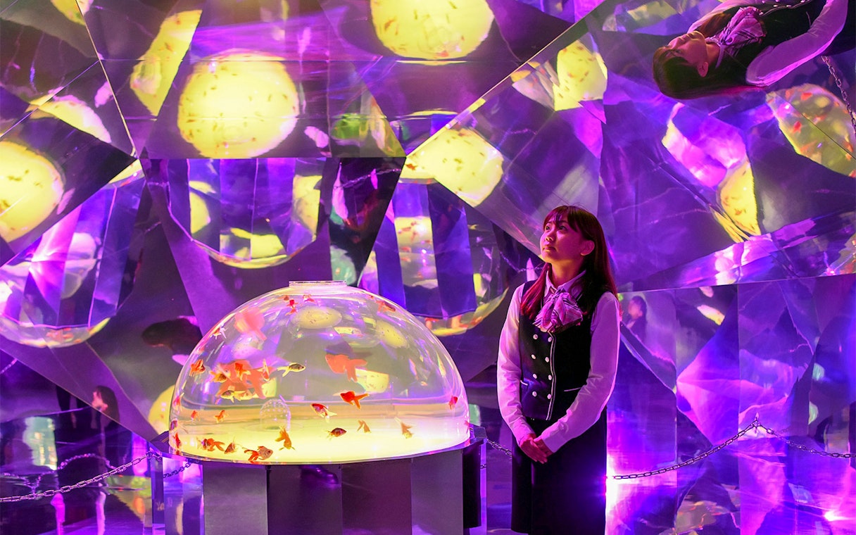 Noboribetsu Marine Park NIXE aquarium with colorful fish and reflective light display.