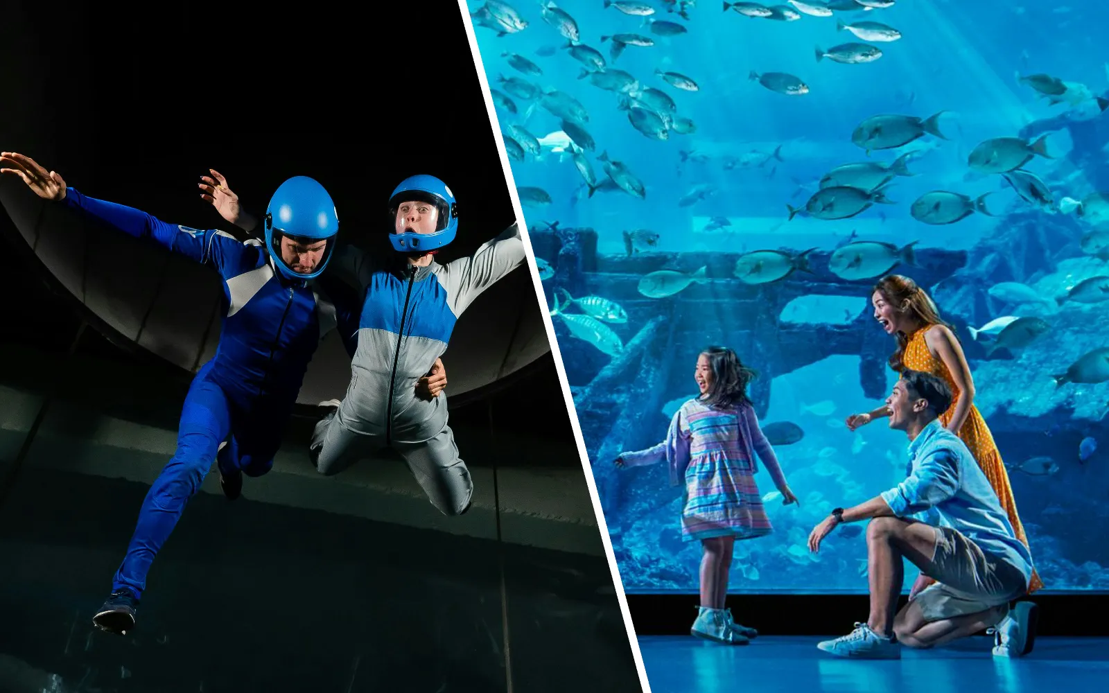 Indoor skydiving at iFly Singapore and family at S.E.A. Aquarium, Sentosa Island.