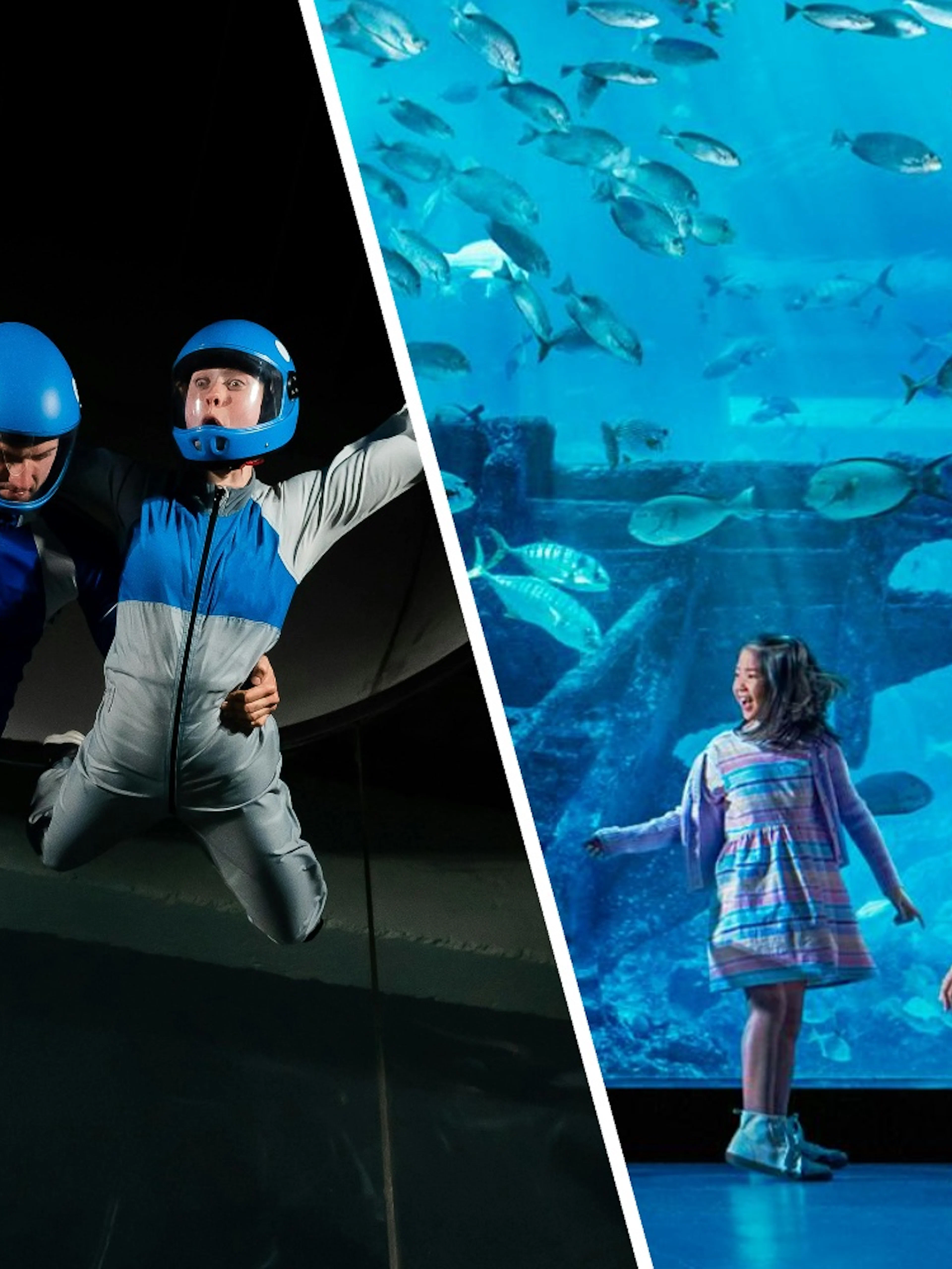 Indoor skydiving at iFly Singapore and family at S.E.A. Aquarium, Sentosa Island.