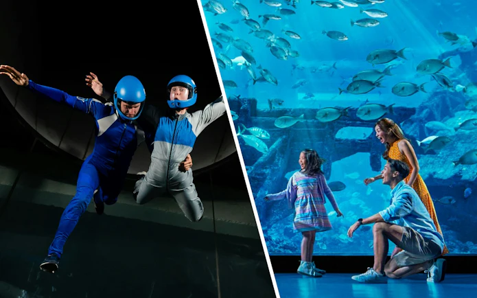 Indoor skydiving at iFly Singapore and family at S.E.A. Aquarium, Sentosa Island.