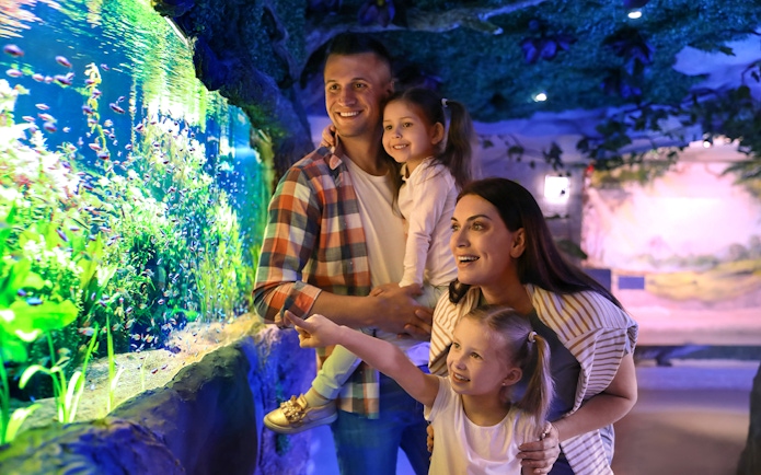 Family enjoying aquarium exhibit in Cairns, Australia.