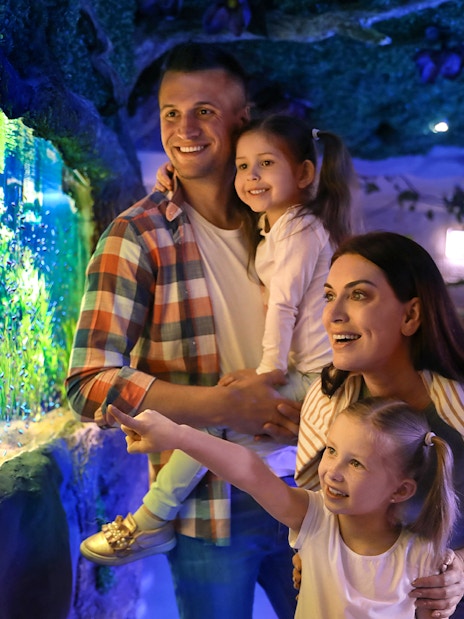 Family enjoying aquarium exhibit in Cairns, Australia.