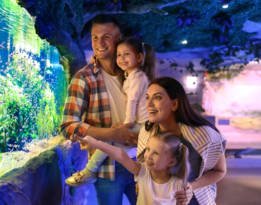 Family observing sea turtles at Cairns Turtle Hospital, Cairns aquarium.