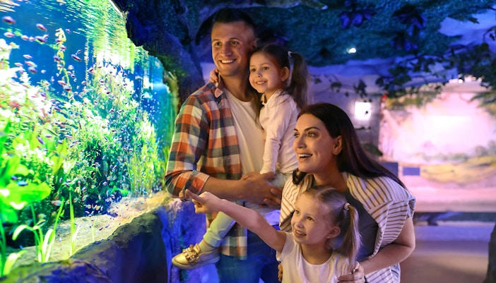 Family enjoying aquarium exhibit in Cairns, Australia.