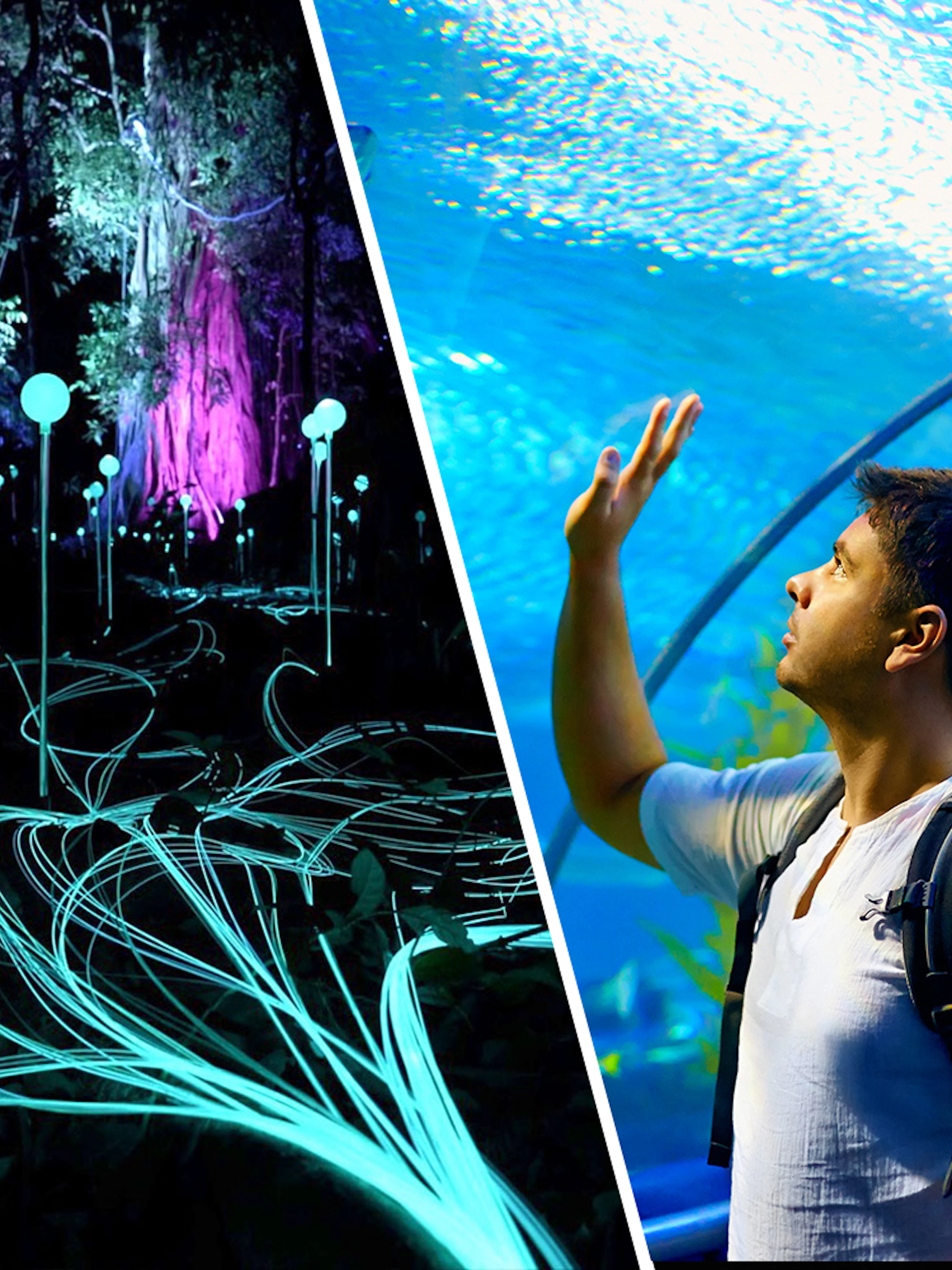 Dream Forest Langkawi light display and visitor at Langkawi Underwater World tunnel.