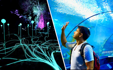 Dream Forest Langkawi light display and visitor at Langkawi Underwater World tunnel.
