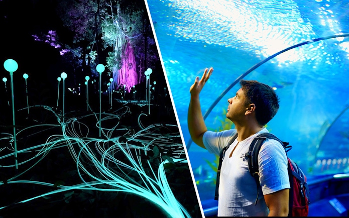 Dream Forest Langkawi light display and visitor at Langkawi Underwater World tunnel.