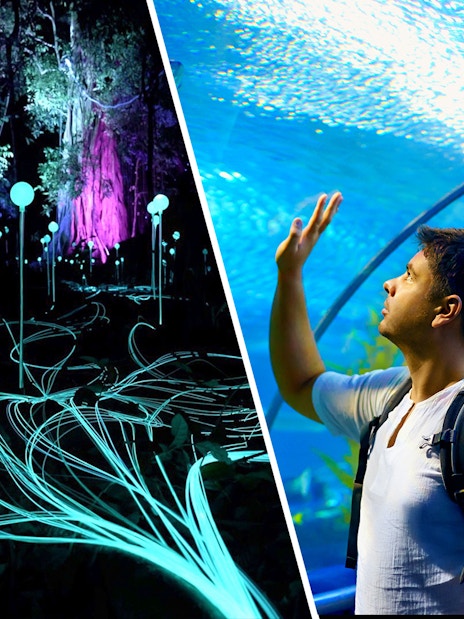 Dream Forest Langkawi light display and visitor at Langkawi Underwater World tunnel.