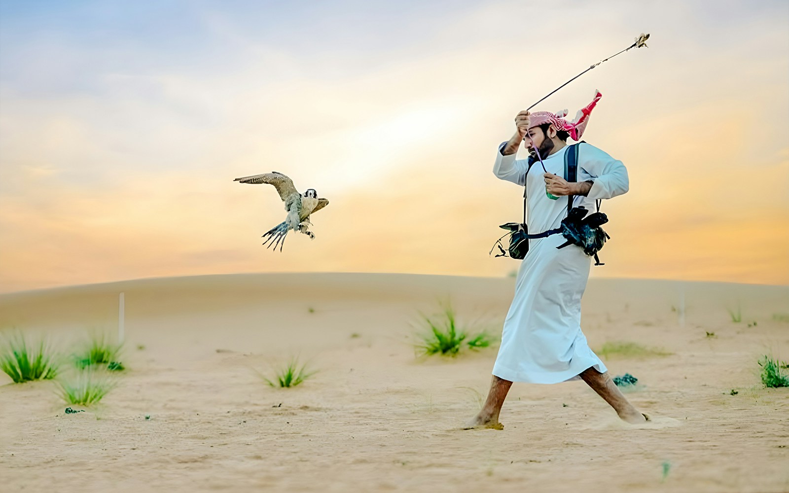 Overnight Dubai Desert Safari - Falconry