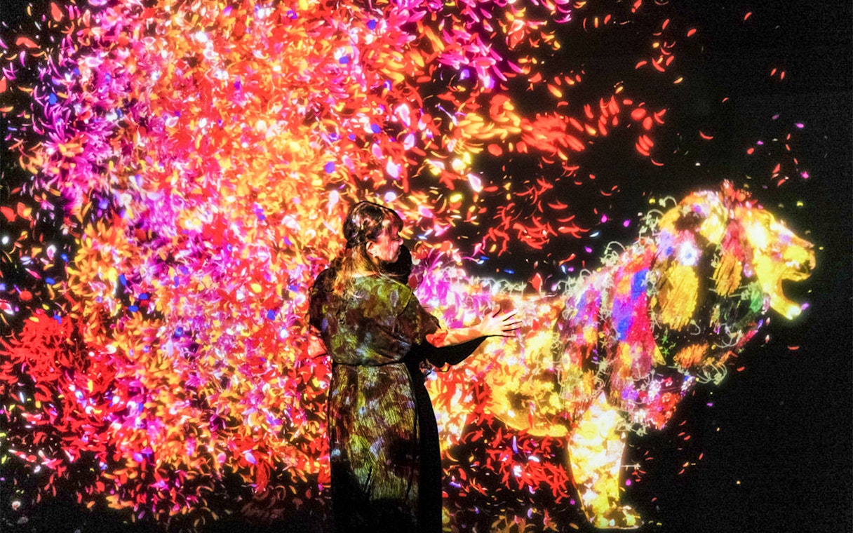 Interactive digital art display with colorful projections at teamLab SuperNature Macau.