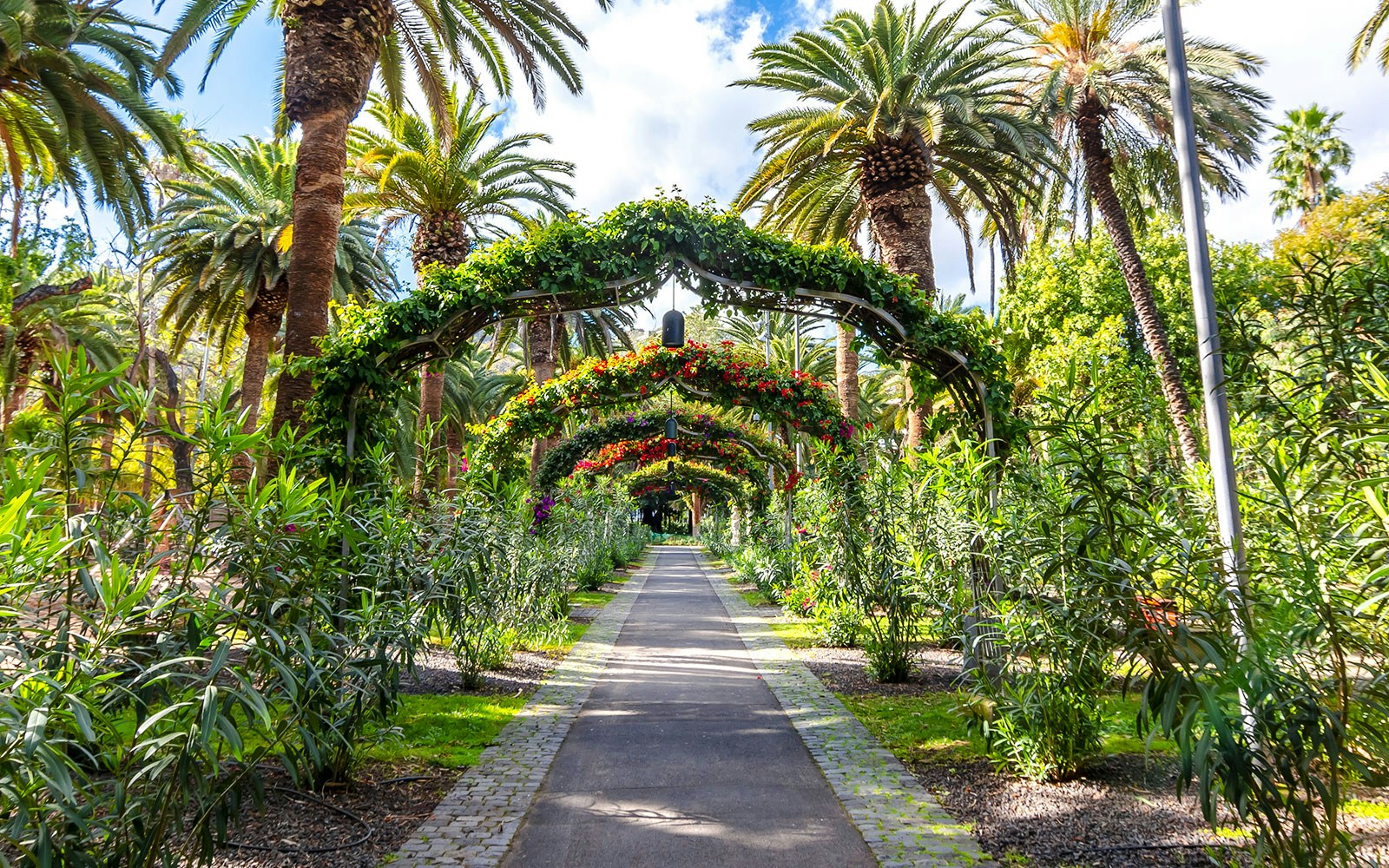 Pathway under floral arches in Garcia Sanabria Park, Santa Cruz, Tenerife.