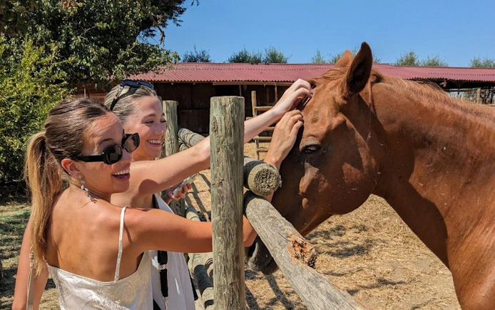 Women petting a horse near a stable in the Tuscan countryside, San Gimignano in the background.