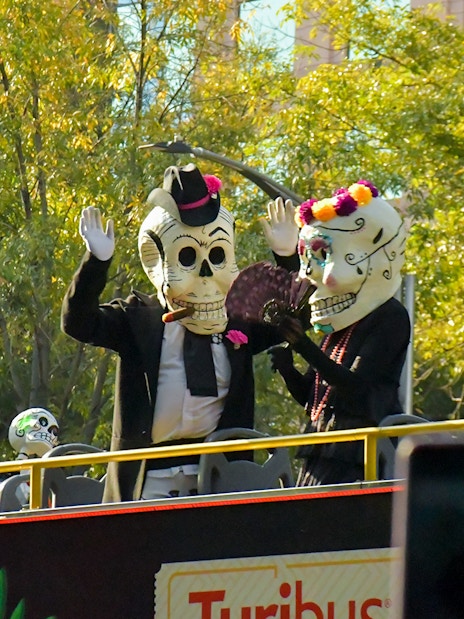 Participants in skeleton costumes on a bus during Day of the Dead parade, Mexico.