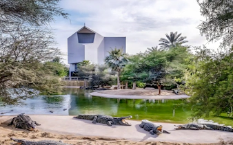 Crocodiles by a pond at Dubai Crocodile Park with modern building in background.