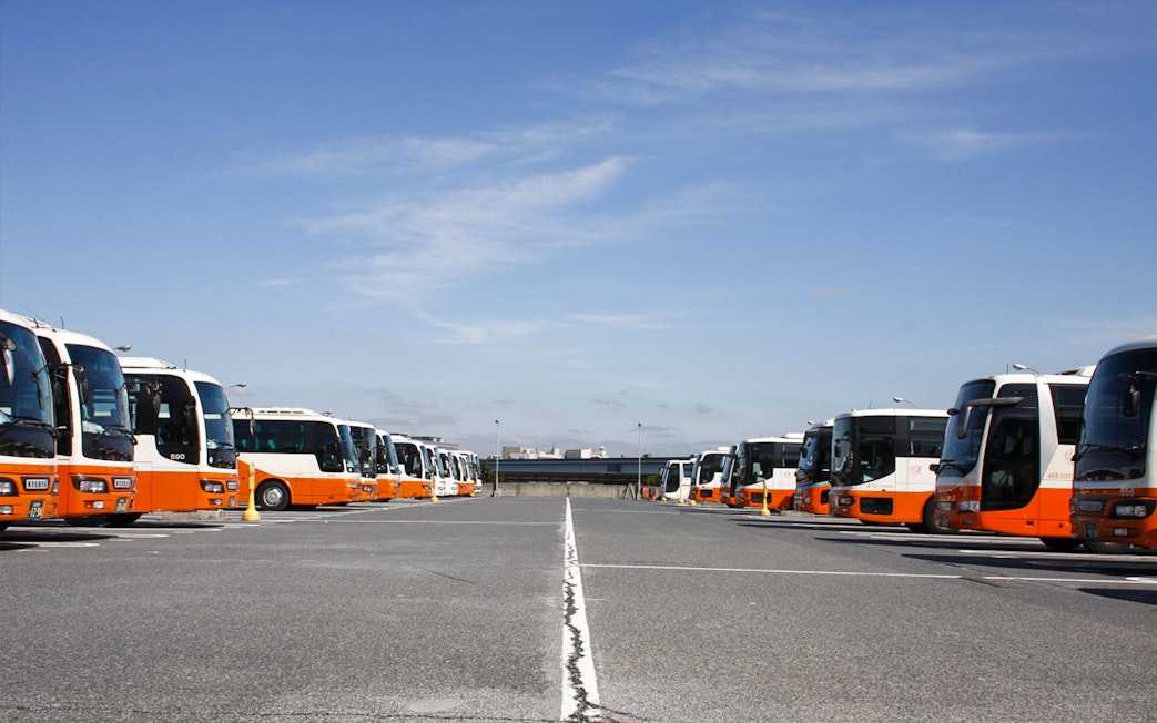 Buses lined up for passenger transfer from Narita Airport to Central Tokyo.