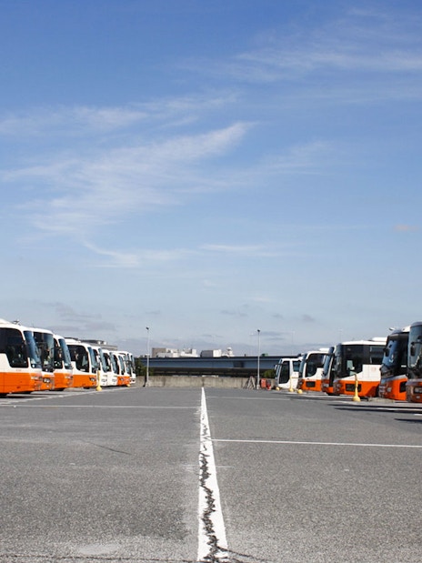 Buses lined up for passenger transfer from Narita Airport to Central Tokyo.