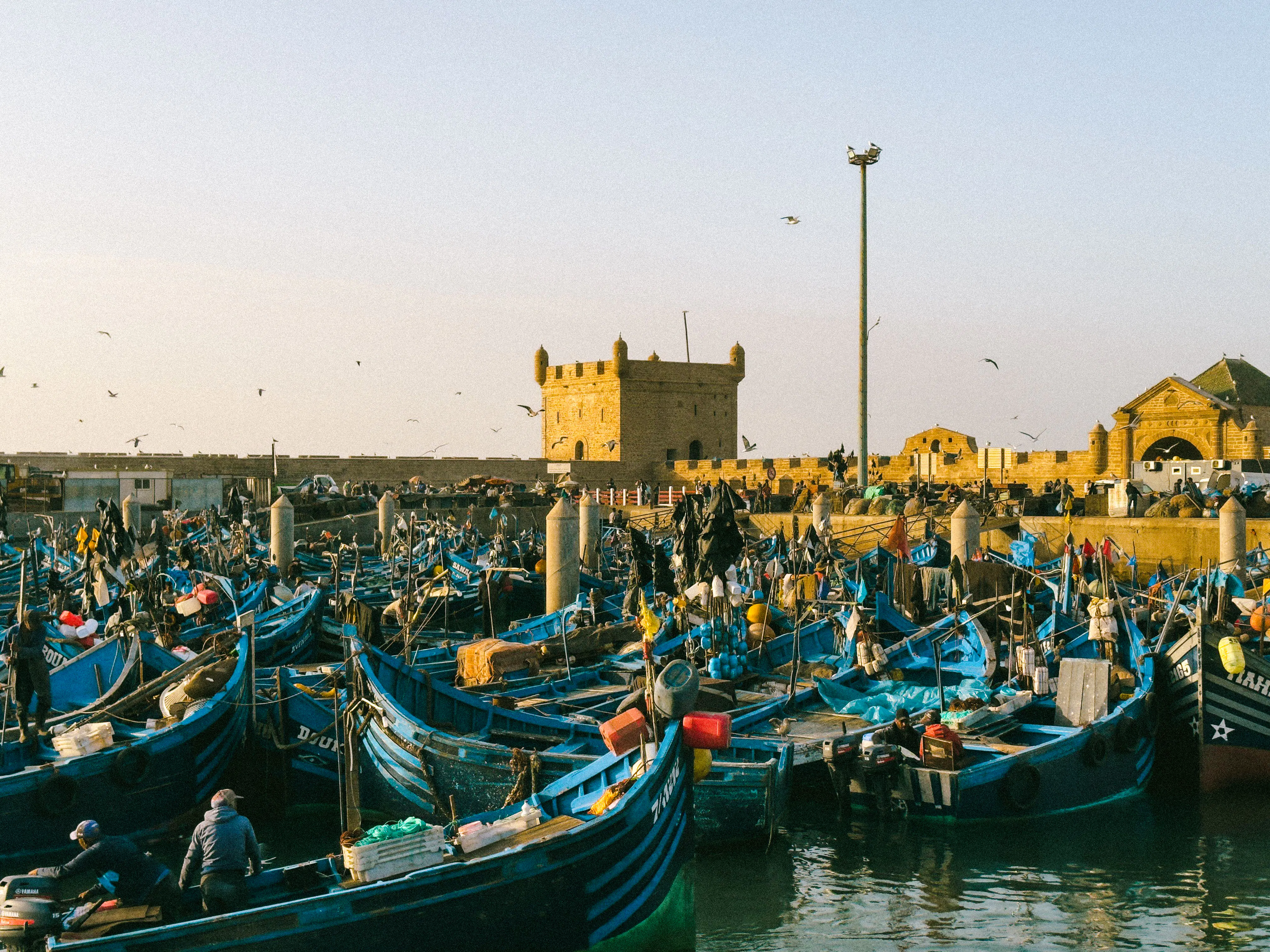 fra marrakech: dagstur til essaouira i liten gruppe-3