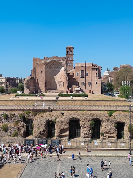 Roman Forum ruins with Palatine Hill in the background, Rome, Italy.