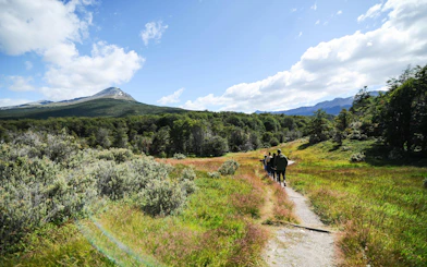 Hikers on a trail in Tierra del Fuego National Park with mountain view.