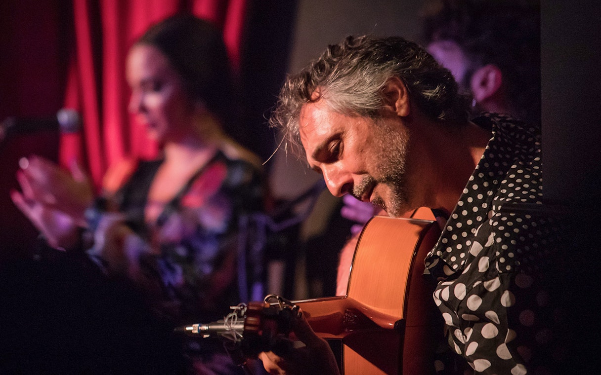Guitarist performing at Alegría Flamenco & Gastronomia event.