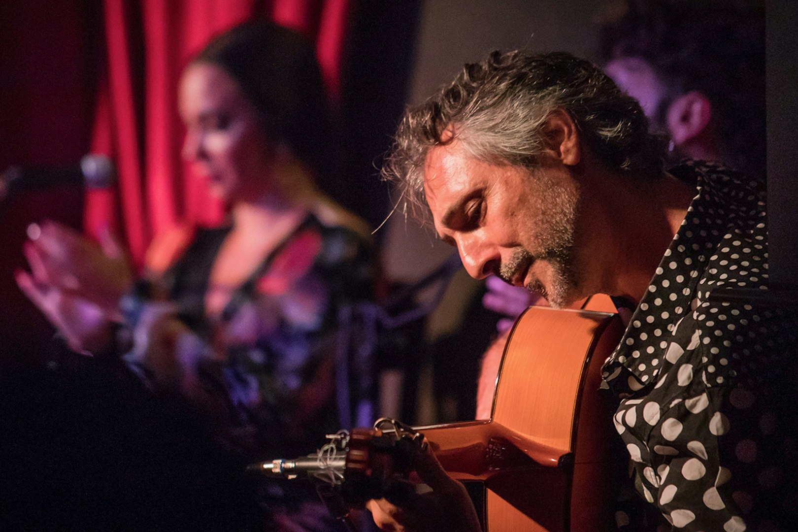 Guitarist performing at Alegría Flamenco & Gastronomia event.
