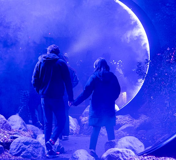 Couple walking through illuminated archway in misty garden at night.
