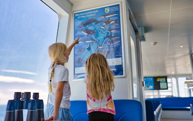 Children observing marine mammals poster on Auckland cruise.