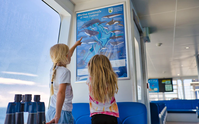 Children observing marine mammals poster on Auckland cruise.