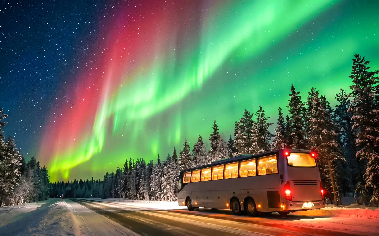 Bus under Northern Lights during Northern Lights Chase Tour.