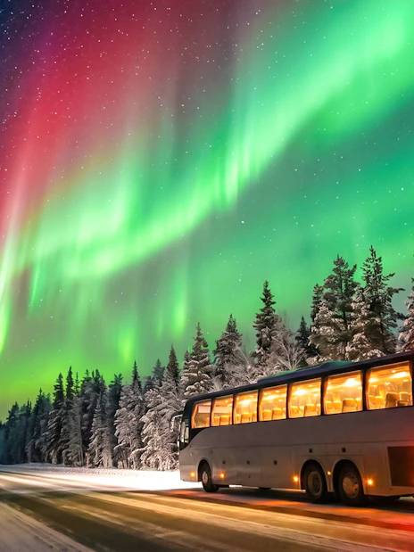 Bus under Northern Lights during Northern Lights Chase Tour.