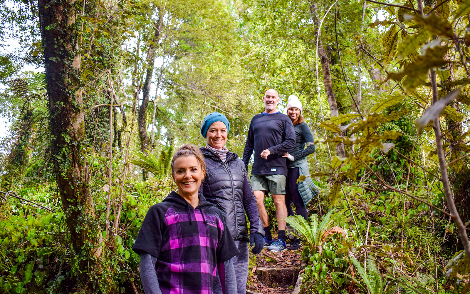 Tourists walking through lush rainforest at Franz Josef.
