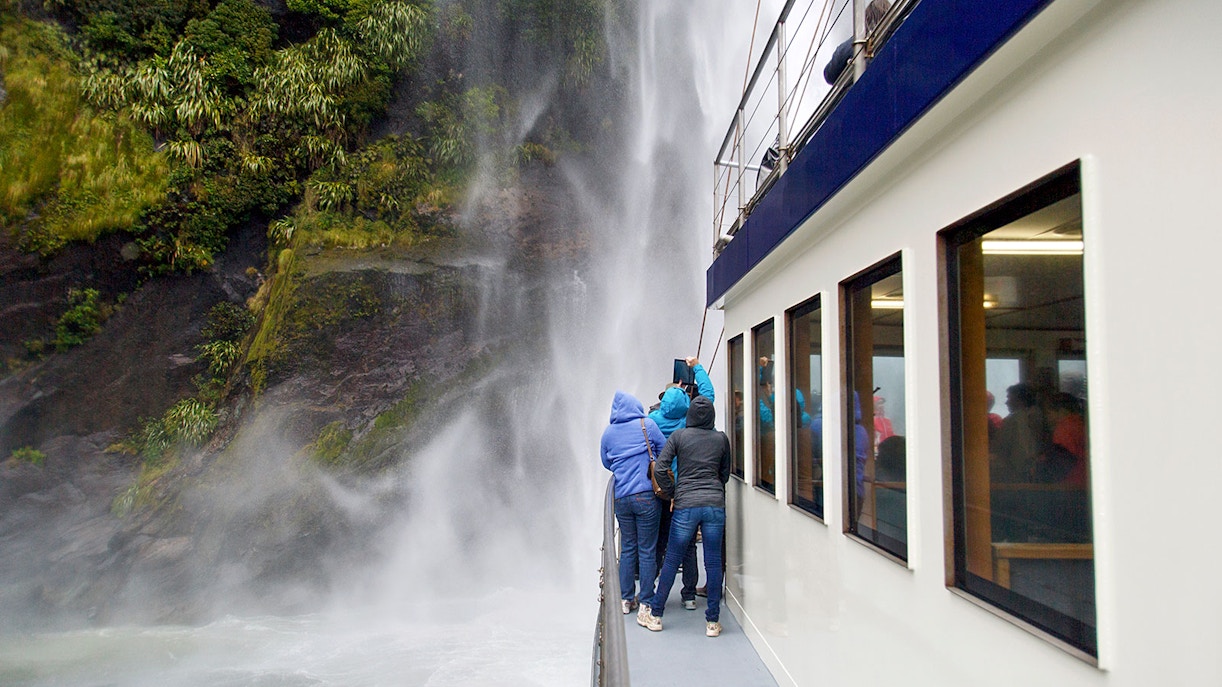 Milford Sound Guided Tours