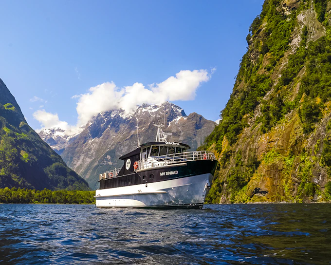From Queenstown: Business Class Milford Sound Tour with Premium Cruise & Gourmet Lunch