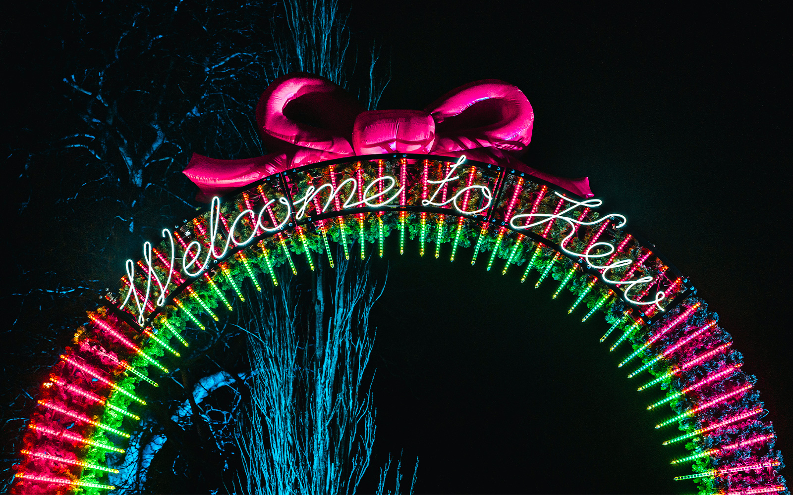 Kew Gardens Christmas