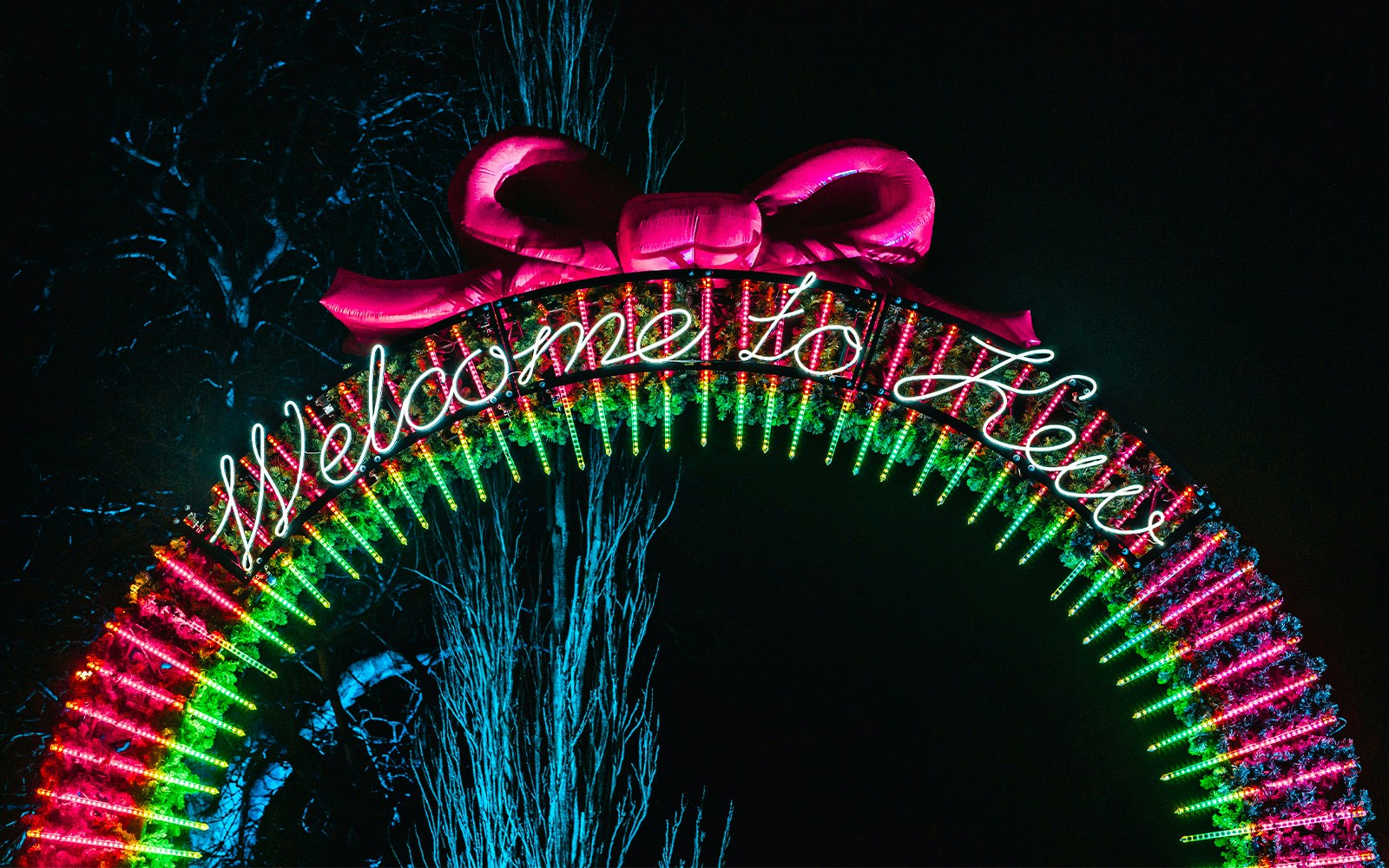 Don't miss the many special events