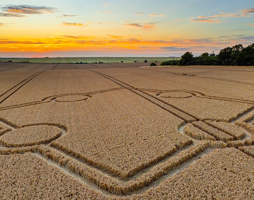 Crop circle in a wheat field at sunset, Normanton Down near Stonehenge.