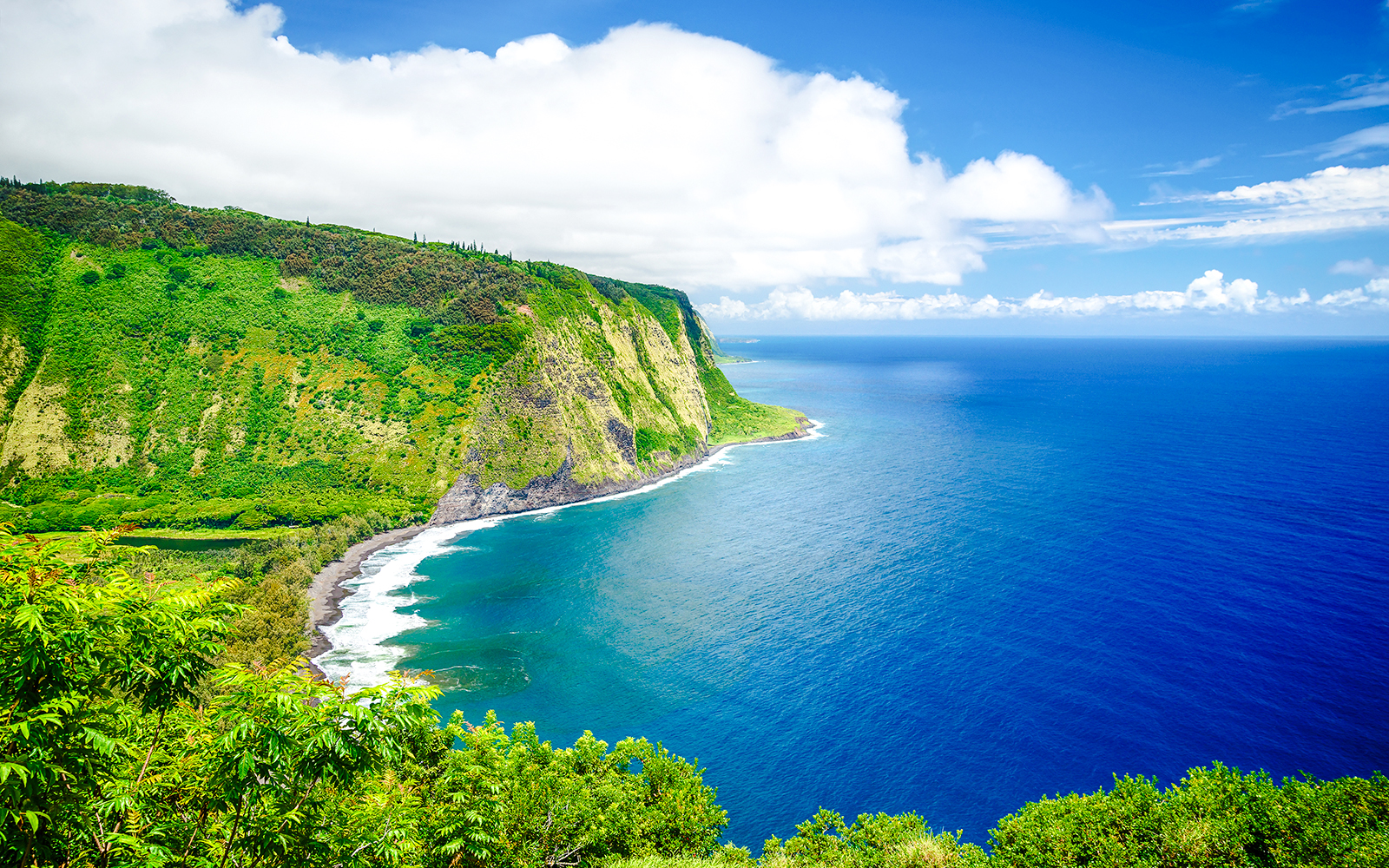 Waipio Valley Lookout view of lush cliffs and ocean on Big Island, Hawaii.